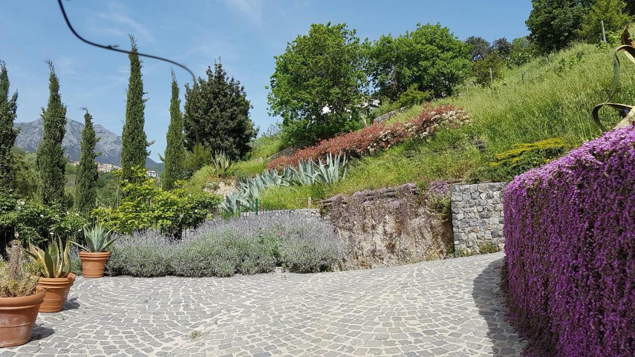 Ancient Estate "Il Trignano" Villa Vietri Buitenkant foto